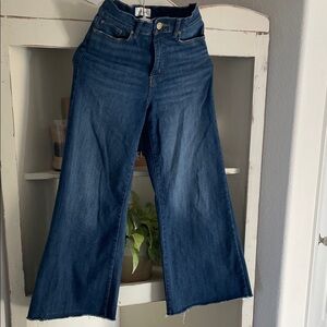 Frame Le Palazzo Jeans